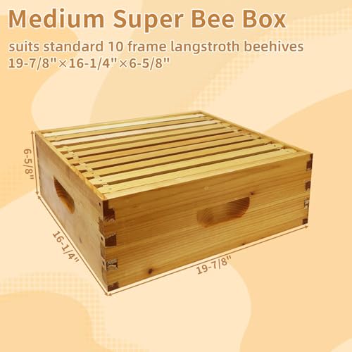 Gold Standard 10 Frame Bee Hive Beeswax Coated Includes Beehive Frames and Foundations (2 Deep Boxes & 1 Medium Box) - size: 10 Frames 3 Layers