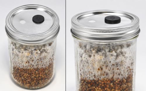 Root Mushroom Farm- 6Pcs Wide Mouth Mushroom Liquid Culture Lids, Mason Jar Lid with Two air exchange openings, 0.22um PTFE Filters & 20mm Self Healing Injection Port - style: Wide Mouth Jar Lids