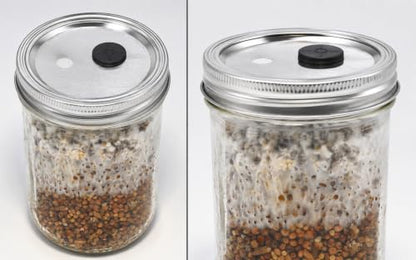 Root Mushroom Farm- 6Pcs Wide Mouth Mushroom Liquid Culture Lids, Mason Jar Lid with Two air exchange openings, 0.22um PTFE Filters & 20mm Self Healing Injection Port - style: Wide Mouth Jar Lids