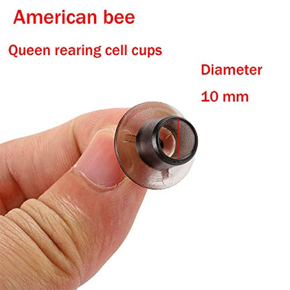 Beekeeping jzbz Queen Cell Cup Holder Frame Bar and Mounted Queen Cell Cups (2 pcs Sides and 4 pcs Cell Cup Holder Bars Plus 50 pcs Cell Cups)