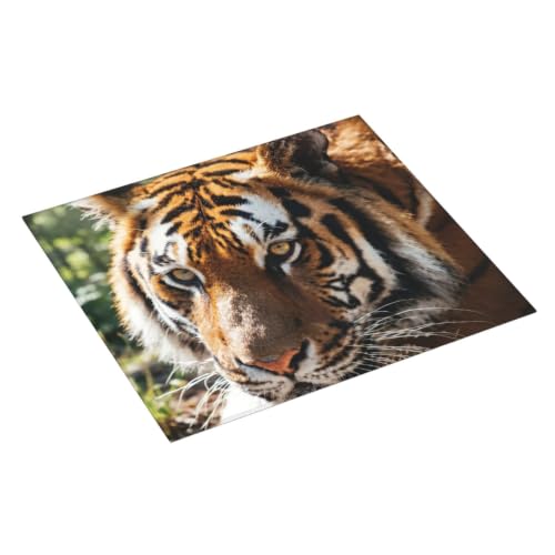 Wild Animal Tiger Dish Drying Mat for Kitchen Counter, Absorbent Microfiber Drainer Mats, Non-slip Kitchen Draining Mat for Coffee Machine Dish Rack Pad 18"x16" Dish Drainer Pad - color: Wild Animal Tiger