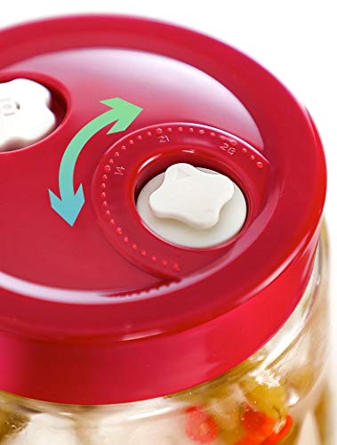 Tvoip Modern Fermenting Seal Storage Jar Transparent Glass Jars with Lid Kit/Honey Jam Fruit Cans Pickle Side Dish Tanks Tea Bottle Accessories (34OZ(1000ML)) - color: 34OZ(1000ML)