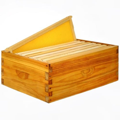 Frame Assembled Medium Bee Hive Super Box - Beeswax Coated Beehive Kit for Beekeepers, Includes 10 Wooden Frames and Waxed Foundations, Standard Langstroth Size