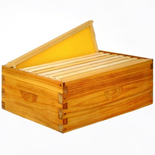Frame Assembled Medium Bee Hive Super Box - Beeswax Coated Beehive Kit for Beekeepers, Includes 10 Wooden Frames and Waxed Foundations, Standard Langstroth Size
