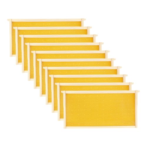 10 Pack Beehive Frames and Wax Foundations for Deep Brood Bee Hives with Honeycombs Wooden Bee Hive Frames and Beeswax Coated Foundations, 9-1/8-Inch (Yellow) - size: 10 Pack Deep Frames-Yellow