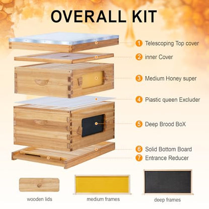 10 Frame Bee Hive Starter Kit with Windows, Beeswax Coated Langstroth Bee Hives Boxes for Beekeepers with Beehive Frames and Waxed Foundations (1 Deep Brood Bee Box & 1 Medium Super Box) - size: 10 Frames 2 Layers