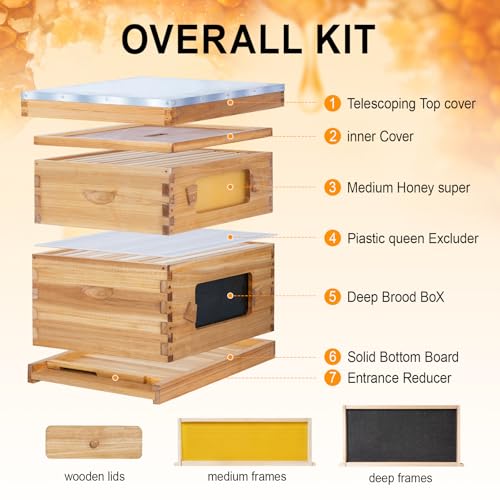 8 Frame Bee Hive Starter Kit with Windows, Beeswax Coated Langstroth Bee Hives Boxes for Beekeepers with Beehive Frames and Waxed Foundations (1 Deep Brood Bee Box & 1 Medium Super Box) - size: 8 Frames 2 Layers
