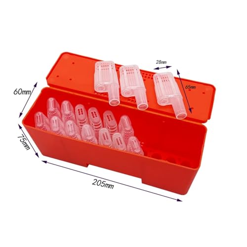 1 Set Beekeeping Tools Queen Bee Transport Box with Cages Rearing Equipment Cell Plastic Incubator Beekeeper