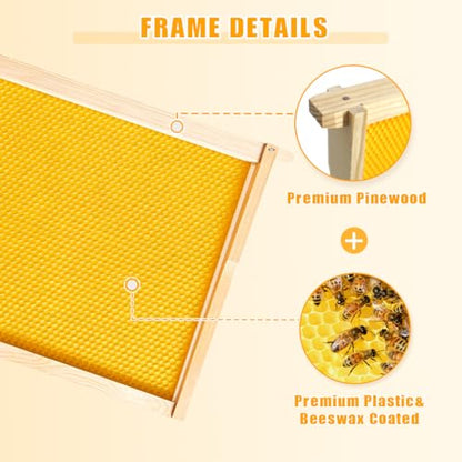 POLLIBEE 10 Pack Beehive Frames with Wax Dipped Plastic Foundations, Deep Brood Box Bee Frames 9-1/8 Inch for Beekeeping (Yellow) - size: Deep Yellow