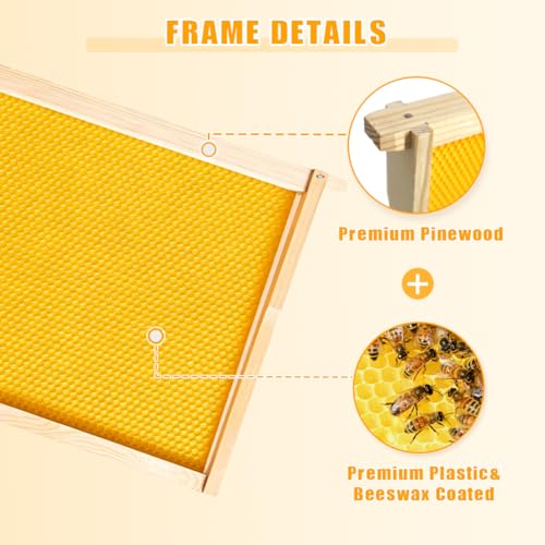 POLLIBEE 10 Pack Beehive Frames with Wax Dipped Plastic Foundations, Deep Brood Box Bee Frames 9-1/8 Inch for Beekeeping (Yellow) - size: Deep Yellow