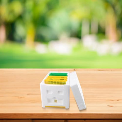 Bee Mating Hive Bee Breeding Box Bee Mating Box Beekeepings Bee Pollination Box for Nucleus Hive Breeding and Honey Harvesting