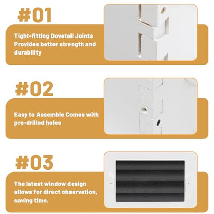 Painted Beehive with Windows Langstroth 10 Frame – 4-Layer Bee Hive Includes 20 Medium & 20 Deep Frames with Wax Foundations (2 Deep & 2 Medium Super Bee Box)