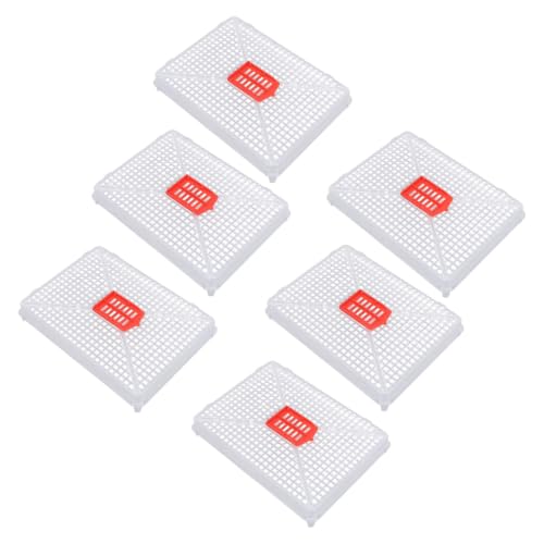 6pcs Plastic Queen Cage Beekeeping Tool Beekeeping Box with Square Buckle Design for Artificial Swarming, Introduction of Queens
