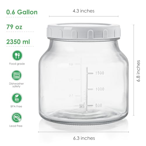 Qianfenie 2 Pack 79 Oz Glass Jars with Lids, 100% Airtight and Leak-proof Half Gallon Mason Jar, Pickle Jar Mason Jar Wide Mouth for Cold Brew, Kombucha, Ice Tea, Pickle Eggs, Flour, Sugar