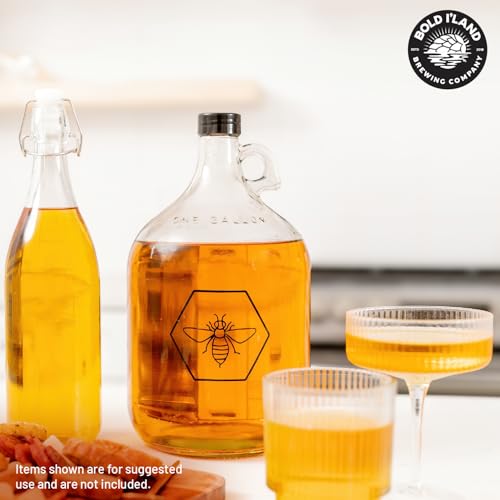 Complete Mead Making Kit for Beginners – Home Brewing Starter Kit – Includes 1 Gallon Glass Jug Carboy - Alcohol Hydrometer for Alcohol Test – Auto Siphon – Airlock – How to Guide and More - color: Standard Deluxe Kit