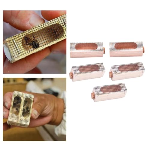 Queen Bee Cage 20x Wooden Cage Moving Beekeeping Equipment for Queen Rearing Beekeeping for Beekeeping Supplies
