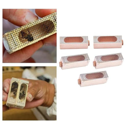 Queen Bee Cage 20x Wooden Cage Moving Beekeeping Equipment for Queen Rearing Beekeeping for Beekeeping Supplies