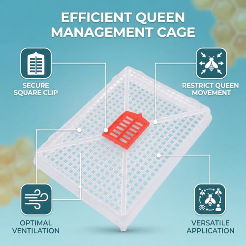 Plastic Bee Queen Cage Beekeeping Tool, Beekeeping Cage for Artificial Swarming Introduction of Queens for Bee Isolation 6 PCS
