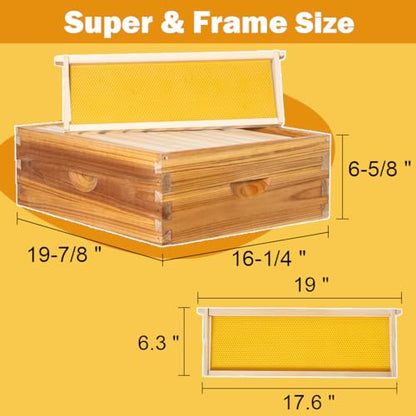 10 Frame Langstroth Beehive Kit Dipped in 100% Beeswax Bee Hives with 2 Deep Bee Box and 2 Medium Super Bee Hive Box with Frame and Foundation(Unassembled) - size: 4 Layer