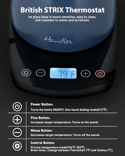 Harriet Gooseneck Electric Kettle - 1200W Fast Heat, 0.8L Stainless Steel, Precision Temp Control & Timer, Wood Handle, Pour Over Coffee and Tea, Blue - color: Blue