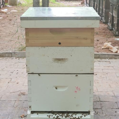 2Pcs Bee Hive Winter Quilt Box, Langstroth Overwintering Beehive Quilt Box for Bees Winter (8 Frame) - size: 8 Frame