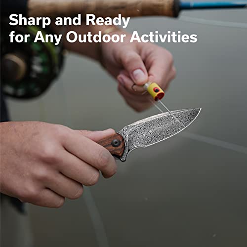 CIVIVI Folding Pocket Knife for EDC, Small Mini Praxis Knife for Men Women, 2.98" Damascus Blade Guibourtia Wood Handle, Sharp Camping Hiking Knives C18026C-DS1 - color: Brown