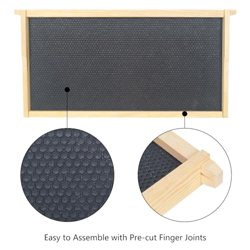 BeeTech 10-Pack Deep Brood Box Wooden Beehive Frames and 100% Beeswax Dipped Plastic Foundations for Beekeeping (Unassembled) - size: deep frames