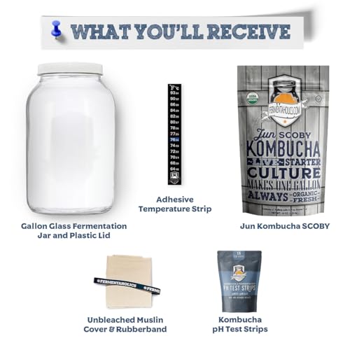 Fermentaholics Jun Kombucha Essentials Kit - ORGANIC JUN SCOBY (starter culture) + 1-Gallon Glass Fermenting Jar, Breathable Cover, Rubber Band, & Adhesive Thermometer - Brew jun kombucha at Home