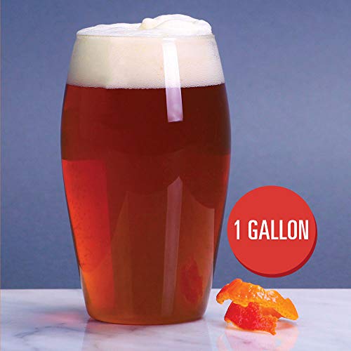 Northern Brewer - 2-Pack 1 Gallon Fruited Brews Beer Recipe Kits - color: Fruited Brews