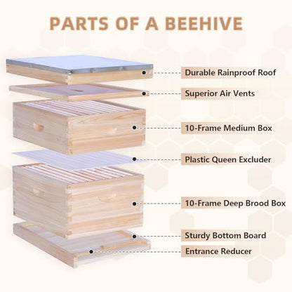 POLLIBEE 10 Frame Langstroth Beehives,Bee Keeping Starter Kit Includes 1 Deep Box & 1 Medium Box with Beehive Frames and Foundations,Complete Beehive Kit for Beekeeper - size: 1 Super+1 Deep
