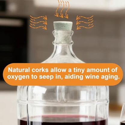 2 Pcs Carboy Cork Stopper, Wood Tapered Fermentation Bungs for 3, 5, 6 Gallon Glass Water Jug, Reusable Natural Wooden Caps for Home Brewing, Wine Making - size: 3&5&6 Gallon