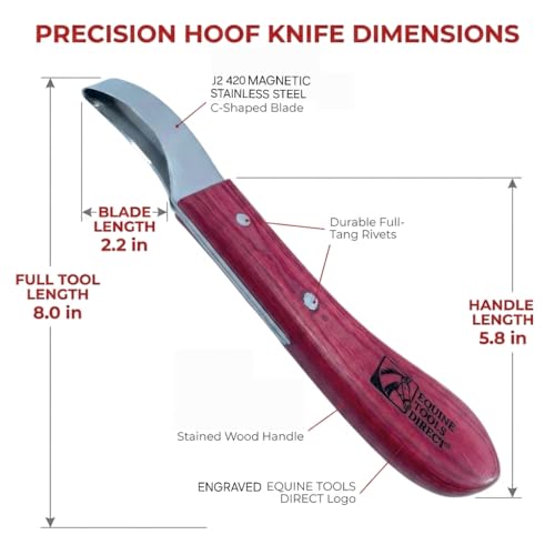 Loop Blade Hoof Knife, J2 420 Magnetic Stainless Steel, Right-Hand, Ergonomic Red Handle, Professional Farrier Trimming Tool