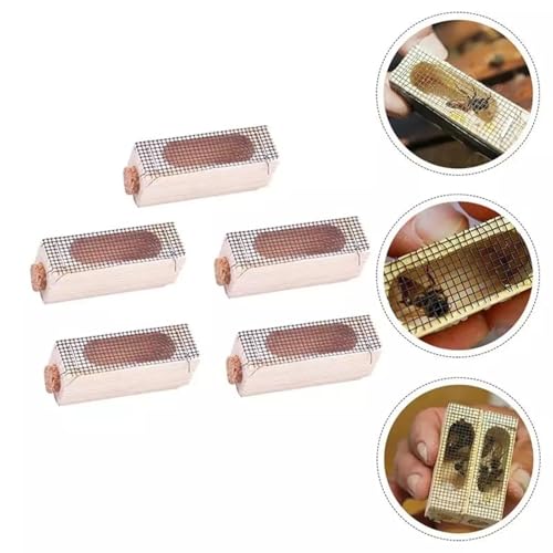 Queen Bee Cage 20x Wooden Cage Moving Beekeeping Equipment for Queen Rearing Beekeeping for Beekeeping Supplies