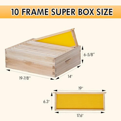 POLLIBEE 10 Frame Super Bee Hive Box, Langstoth Honey Super Bee Box for Beekeeper,Include Beehive Frames and Wax Foundations (unassembled)