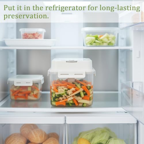 Kimchi Container, Fermentation Box with Press Plate and Date Dial, Plastic Pickle Keeper with Silicone Sealing Ring, Handle and Locking Clips for Sauerkraut, Pickles, Refrigerator Storage
