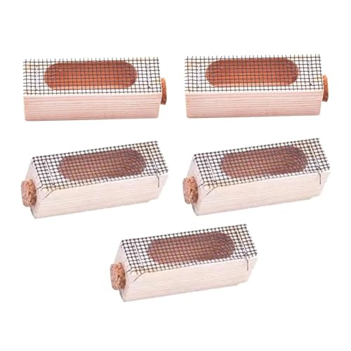 Queen Bee Cage 20x Wooden Cage Moving Beekeeping Equipment for Queen Rearing Beekeeping for Beekeeping Supplies
