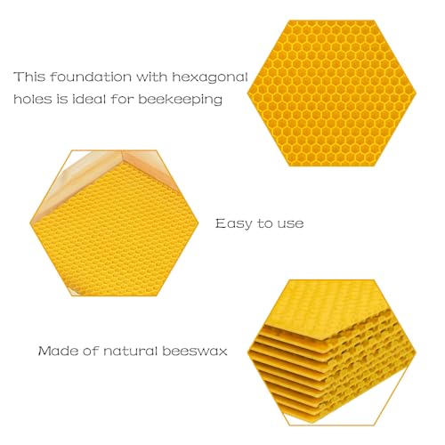 Beehive Waxed Coated Foundation Sheet 20 pcs Medium Beeswax Foundation Sheets 5-5/8-Inch Bee Waxed Foundation Sheets for Bee Frame for Beekeeping Supply (5-5/8-Inch) - size: 5-5/8-Inch