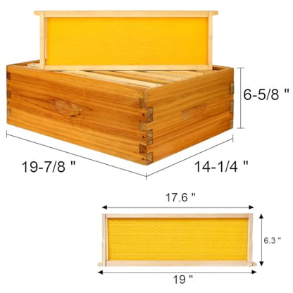 POLLIBEE 8 Frame Medium Super Bee Box, Assemble Bee Hive Box, Dipped in 100% Beeswax, Include Beehive Frames and Bee Hive Foundation
