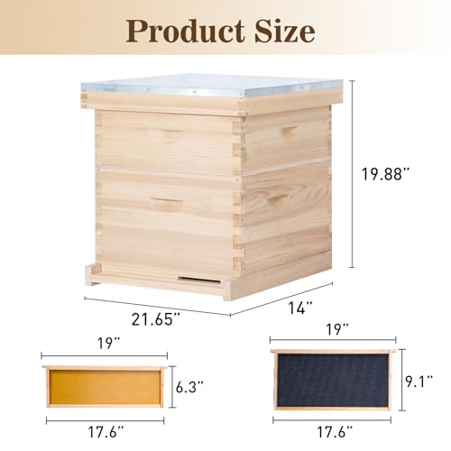 BeeCastle 8 Frame Langstroth Bee Hive, Beehive Starter Kit for Beginners with Beehive Frames and Waxed Foundation (1 Deep Box & 1 Medium Box)