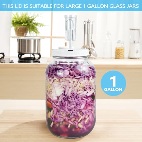 Artcome 10 PC Airtight 1 Gallon Fermentation Lid with Airlock - Transform Gallon Jar Into a Fermenter - Perfect for Pickles, Hard Kombucha, Beer, Wine, Cider - Gallon Lid with Econolock Airlock - size: 2 airlocks + lids