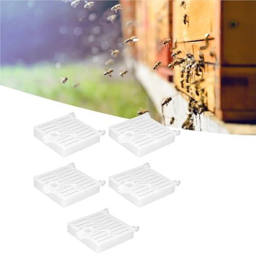 Queen Bee Cage 10Pcs Queen Bee Catcher Cage Plastic Rearing Transport Tool Beekeeping Accessory for Beekeeping Supplies