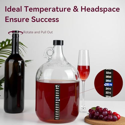Wine Making Kit Home Brewing - Complete Grape Juice Brew Starter Set for Beginners, 1 Gallon Glass Fermentation Jar with 4 Bottles, Yeast & Nutrients, Siphon, Airlock and Step-By-Step Guide