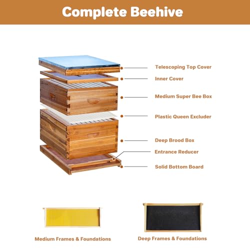 10-Frame Complete Beehive Kit with 1 Deep & 1 Medium Box, Beeswax-Coated Cedar Beehive with Frames, Foundation Sheets and Handles, Dovetail Design, Easy to Assemble for All Beekeeping Needs - size: 2 Layer