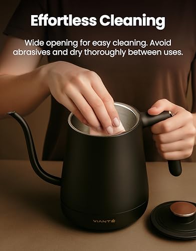 Viante Electric Gooseneck Kettle 0.8L, Pour Over Coffee & Tea, Temp Control | Boil-dry protection, keep-warm function, BPA-free stainless steel body. Includes #2 coffee filters - style: Gooseneck