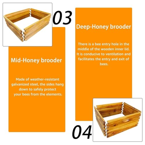5 Layer Langstroth Beehive Dipped in 100% Beeswax Coated Bee Hive Includes 2 Deep Hive Bee Box & 3 Super Bee Hive Without Frames