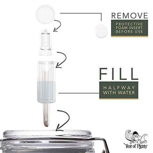 Year of Plenty BPA-Free Airlocks - Set of 6 - Hydrolocks for Fermenting, Brewing, Beer, Wine, Sauerkraut, Kimchi and Other Fermentation Projects (6) - size: 3 Piece