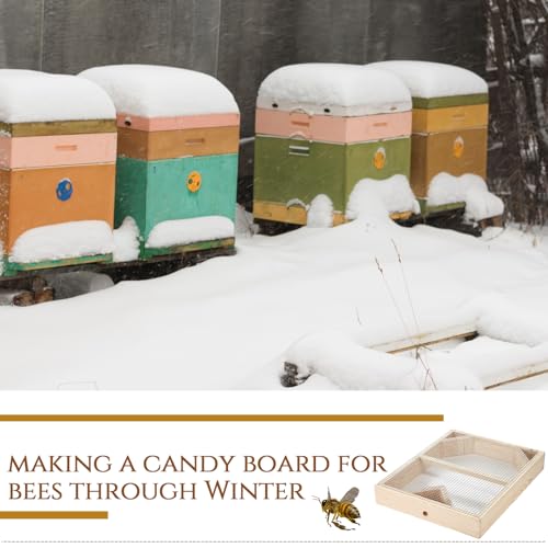 Cinnvoice 2 Pack Beehive Candy Board 10 Frame, Bee Candy Board Pollen Patty for Honey Feed Bees Feeders for Hives Bee Feeder Assembled Winter Cover Well Overwintering Colonies