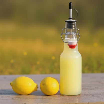 LemonRoad 10 Pack 11oz Small Glass Long Neck Liquor Bottles Swing Top Glass Bottles with Airtight Stopper Lids and Pourers Flip for Fermentation Bar Juice Pour Syrup Wine Snowcone Coffee