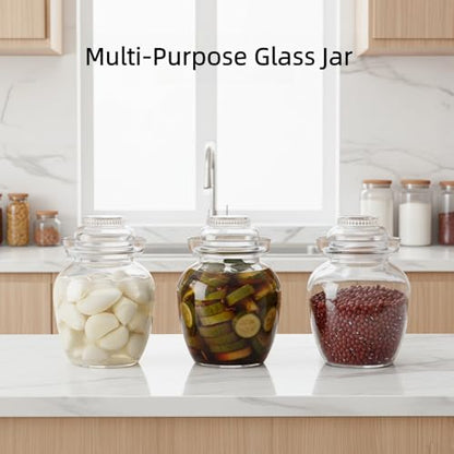 Fermentation Jar, 2.5 Liter Pickle Kimchi Jar with Water Seal Lid | Food Grade, Clear Glass, Wide Mouth, for Making Pickles Kimchi Sauerkraut and Fermenting Vegetables Fruits, Wine Brewing - size: 0.66 Gallon