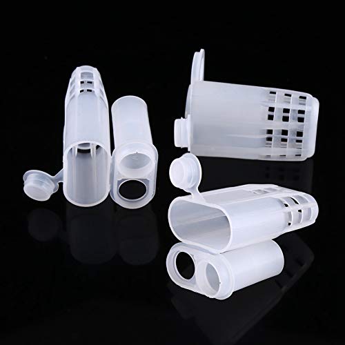 WALFRONT Queen Bee Cages 10pcs Set Plastic Isolator Rearing Cages with Large Opening Secure Clip for Beekeeping Rearing Tools Insectary Box